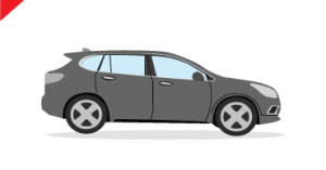 Brand New Private Vehicles